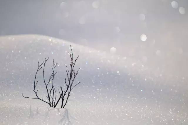 造雪機